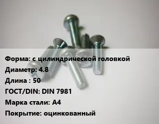 Винт с цилиндрической головкой 4.8х50 DIN 7981 Сталь: А4 оцинкованный